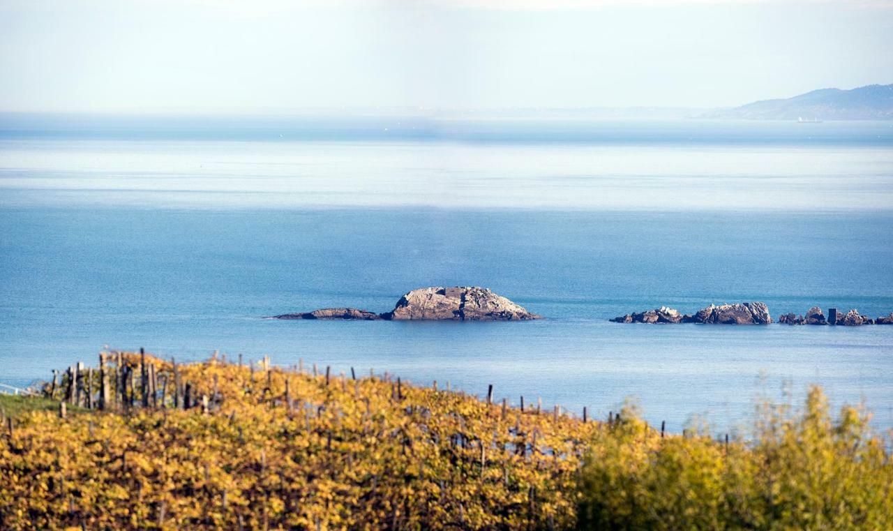 Aterian. Sanz Enea Zarautz